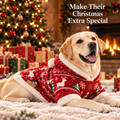Festive Christmas Dog Hoodie