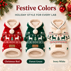 Festive Christmas Dog Hoodie
